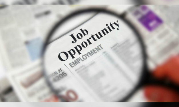 Job Opportunity: Postdoctoral Fellow