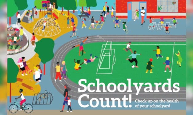 Schoolyards Count!