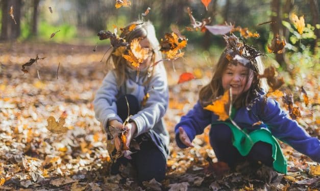 Associations between sedentary behaviour and fine and gross motor skills in 3-4 year olds: a secondary data analysis from SUNRISE International Study pilot studies
