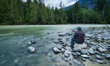 The political landscape of physical activity and climate action in Canada’s social climate
