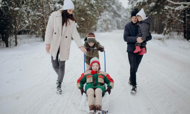 Development of a 24-hour movement index: Exploring acceptability among Canadian parents